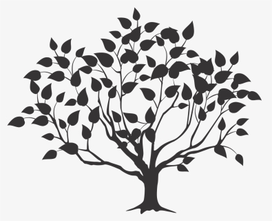 Root Tree Drawing - Tree With Roots Designs, HD Png Download, Free Download