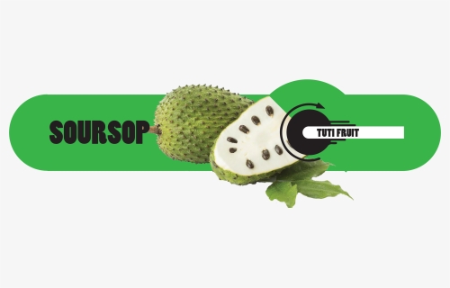 Soursop Graviola Guyabano Fruits Hd Png Download Kindpng