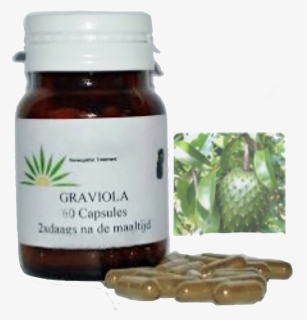 Soursop Graviola Guyabano Fruits Hd Png Download Kindpng