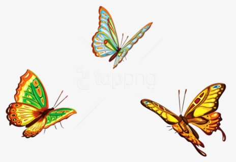 Free Png Three Butterfliespicture Png Images Transparent - Butterflies Png, Png Download, Free Download