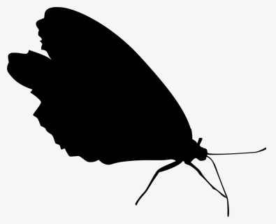 Transparent Bug Wings Png - Scalable Vector Graphics, Png Download, Free Download