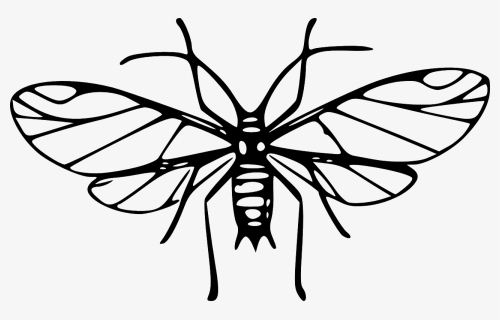 Mosquito Black And White Clipart Png, Transparent Png, Free Download