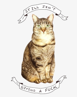Indie Cat Illustration, HD Png Download, Free Download