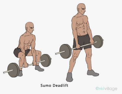 Sumo Deadlift Muscle Worked, HD Png Download, Free Download