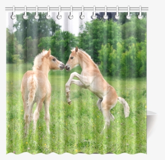 Haflinger Horses Cute Funny Pony Foals Playing Horse, HD Png Download, Free Download