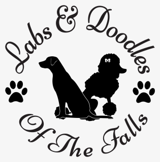 Labs And Doodles Of The Falls - Poodle, HD Png Download, Free Download