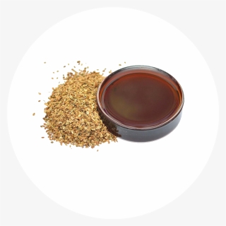 Cnidium Fruits Liquid Plasma Extract - Instant Coffee, HD Png Download, Free Download