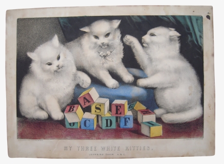 Currier And Ives Cat Litho For Sale, HD Png Download, Free Download