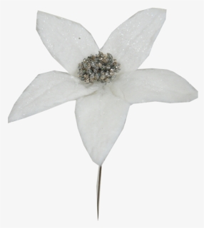 White Glitter Poinsettia Pick - Artificial Flower, HD Png Download, Free Download