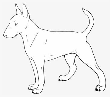 Bull Terrier Staffordshire Bull Terrier Bulldog Line - Bull Terrier (miniature), HD Png Download, Free Download