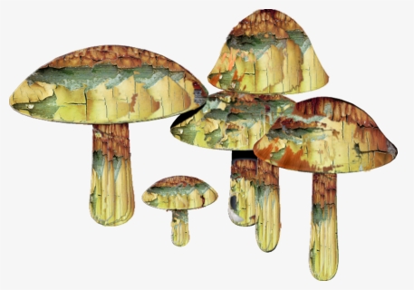 Magic Mushroom Png - Magic Mushrooms Transparent Background, Png Download, Free Download