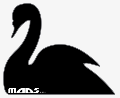 Goose Duck Black Swan Water Bird - Swans, HD Png Download, Free Download