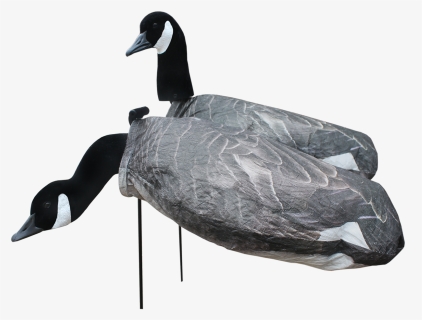 White Rock Canada Goose Flocked Head Windsock 12 Pack - Canada Goose, HD Png Download, Free Download