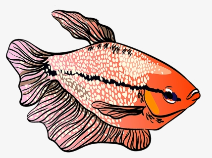 Pearl Gourami - Coral Reef Fish, HD Png Download, Free Download
