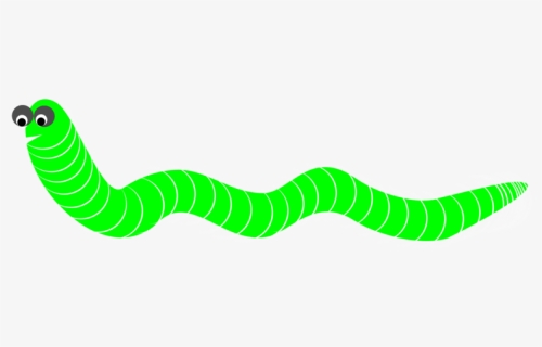 Grass,green,line - Straight Worm Clipart, HD Png Download, Free Download