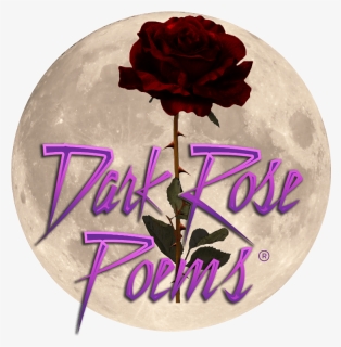 Dark Rose Poems - Roos Met Steel, HD Png Download, Free Download