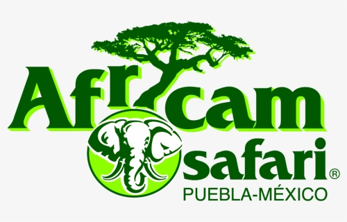 Africam Safari Puebla &187 Placer Y Negocios - Africam Safari, HD Png Download, Free Download