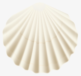 Shell Clipart Pink Seashell - Scallop, HD Png Download, Free Download