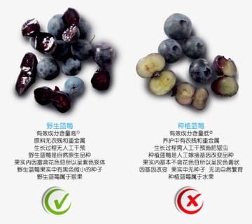Transparent Meijiao Png - Seedless Fruit, Png Download, Free Download