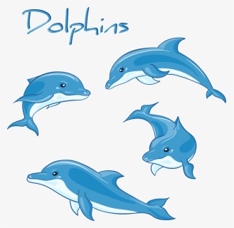 Biology Drawing Decoration - Cartoon Dolphin Drawing Clipart, HD Png Download, Free Download