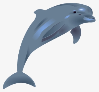Cartoon Dolphin Clipart - Transparent Dolphin Clipart, HD Png Download, Free Download
