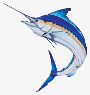Sailfish Marlin - Atlantic Blue Marlin, HD Png Download, Free Download