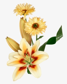 Flores Png Para Photoscape - Fleurs Joyeux Anniversaire Gif, Transparent Png, Free Download