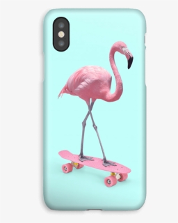 Flamingo On Skateboard Case Iphone Xs - Greater Flamingo, HD Png Download, Free Download