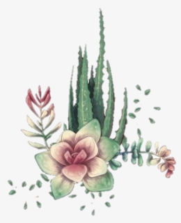 #sabila # Suculenta - Marco De Cactus, HD Png Download, Free Download