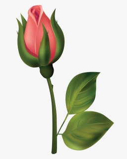 Flower Bud Clipart, HD Png Download, Free Download
