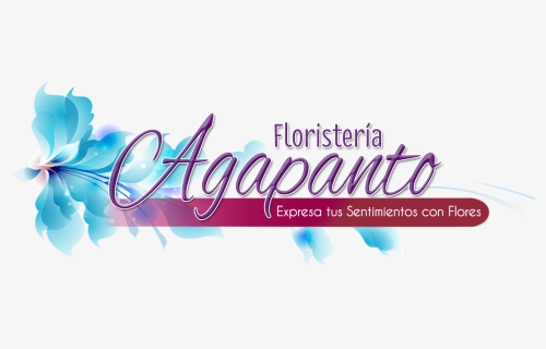 Transparent Arreglos Florales Png - Graphic Design, Png Download, Free Download