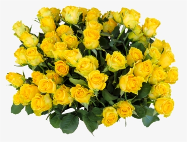 Emotions, Roses, Birthday, Png, Greeting, Bouquet - Yellow Flowers Birthday Wishes, Transparent Png, Free Download