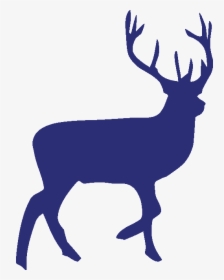 Reindeer Silhouette Clip Art - Silhouette Of A Reindeer, HD Png Download, Free Download
