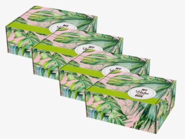 Palm Beach Box Subscription - Illustration, HD Png Download, Free Download