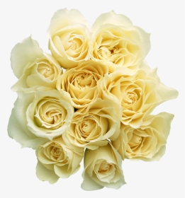 Garden Roses Cut Flowers Bouquet Yellow Rose Family - Bouquet Of Flowers No Background, HD Png Download, Free Download
