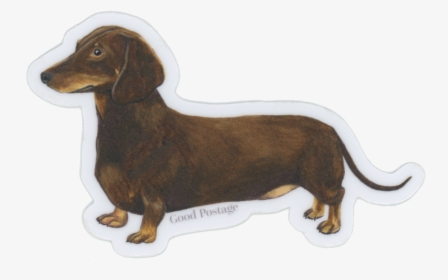Dachshund, HD Png Download, Free Download