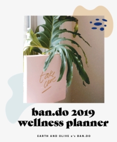 Bando - Poster, HD Png Download, Free Download
