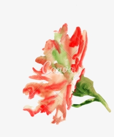 Bud Drawing Carnation - Artificial Flower, HD Png Download, Free Download