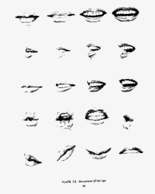 Andrew Loomis Drawing The Head And Hands 49 Clip Arts - Step By Step Tumblr Drawings, HD Png Download, Free Download