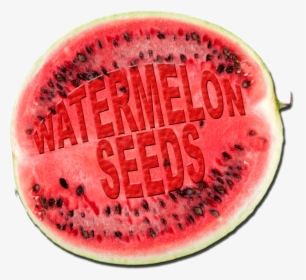 Watermelon Png Hd Photo - Watermelon, Transparent Png, Free Download