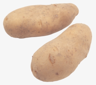 Potat With Transparent Background, HD Png Download, Free Download