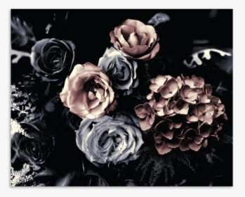Wild Roses Bouquet - Garden Roses, HD Png Download, Free Download