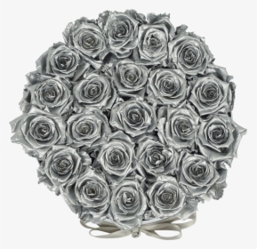 Orb Deluxe Silver Roses"  Class="lazyload Lazyload - Garden Roses, HD Png Download, Free Download