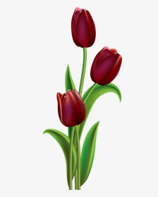Transparent Red Tulip Clipart - Easy Tulip Flower Painting, HD Png Download, Free Download