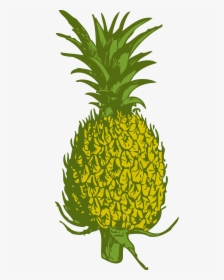 Pineapple Png - Pineapple Tree Clipart Png, Transparent Png, Free Download
