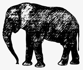 African Elephant Indian Elephant Silhouette Sticker - Elephant, HD Png Download, Free Download