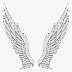Angel Wing White - Angel Wing Clipart Png, Transparent Png, Free Download