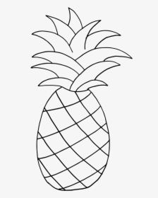 28 Collection Of Pineapple Clipart Outline - Pineapple Clipart Black And White, HD Png Download, Free Download