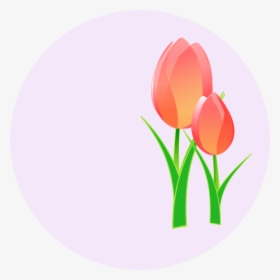 Tulips Svg Clip Arts - Tulips Clip Art, HD Png Download, Free Download