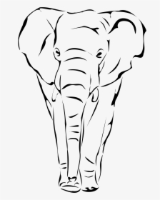 Elephant Line Sketch - Drawing Elephant Face, HD Png Download, Free Download